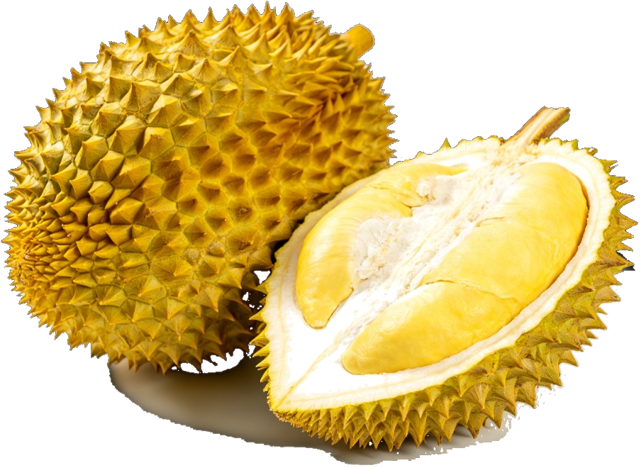 金枕榴莲